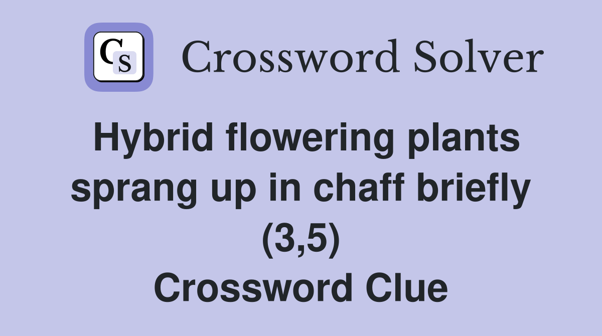 Hybrid flowering plants sprang up in chaff briefly (3,5) Crossword